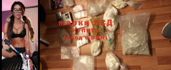 PSILOCYBIN Баксан