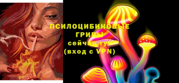 PSILOCYBIN Баксан