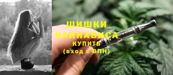 PSILOCYBIN Баксан