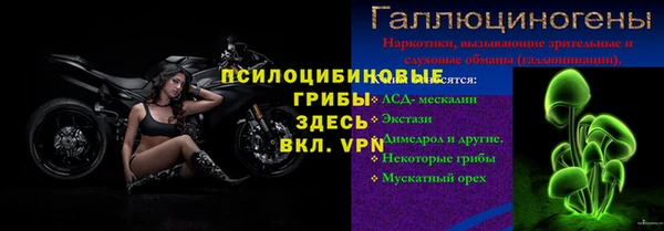 СК Балахна