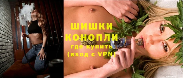 PSILOCYBIN Баксан