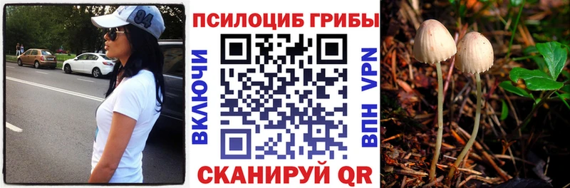 Галлюциногенные грибы Magic Shrooms  Тетюши 