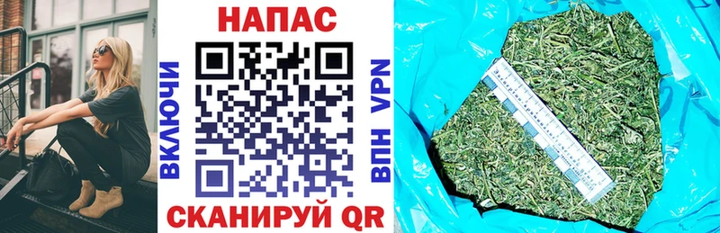 Бошки Шишки план  Тетюши 